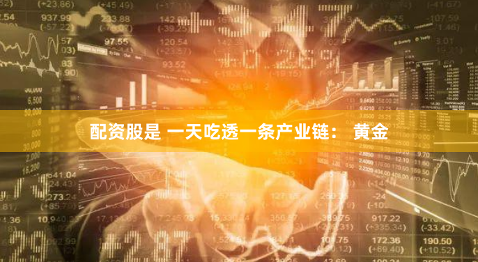 《安全杠杆投资全攻略：从开户到风控的实战手册》