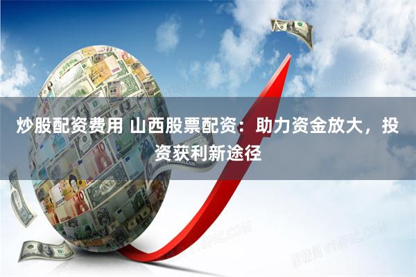 《杠杆魔术师：金牌配资全流程拆解与风险博弈手册》