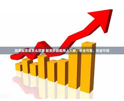 上海股票配资平台排行榜